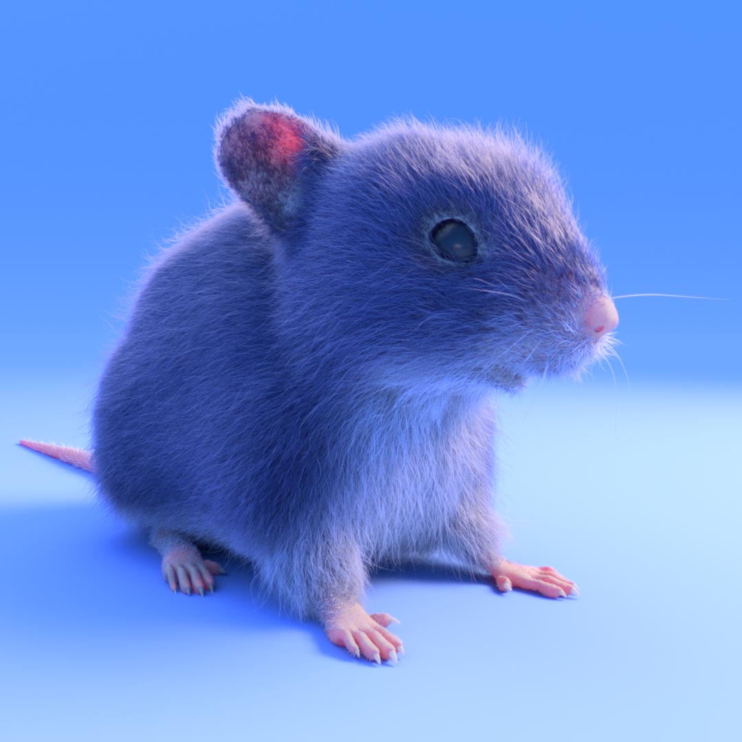mouse_real